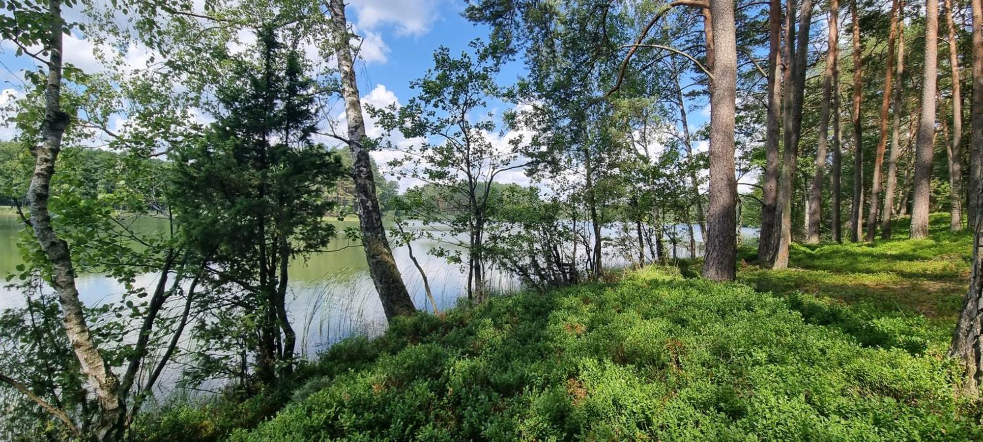 Vila Osrodek Wypoczynkowy Soszko Swornegacie Exteriér fotografie