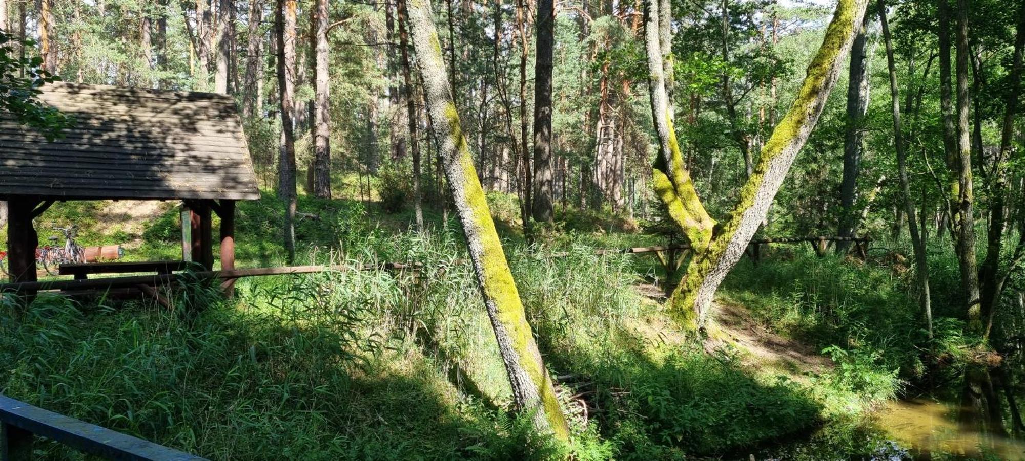 Vila Osrodek Wypoczynkowy Soszko Swornegacie Exteriér fotografie
